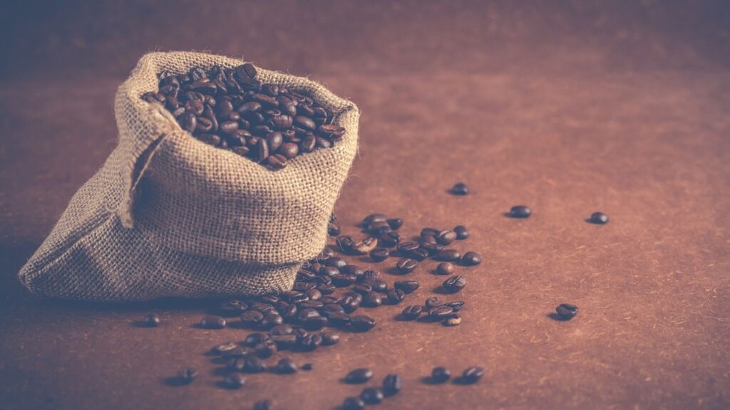 Arabica Vs Robusta Key Differences In Coffee Beans Spectra Coffee