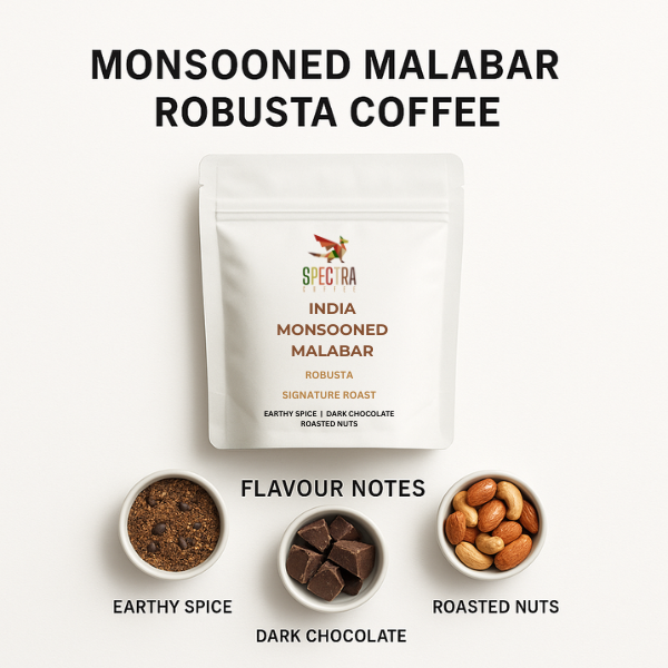 Monsooned Malabar Robusta Coffee